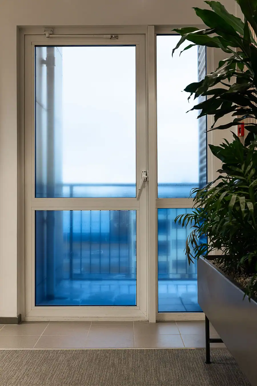 Svalahurð og stór pottaplanta